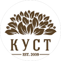 Студия КУСТ