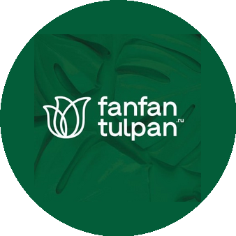 FanFanTulpan