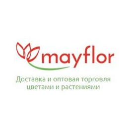Флора групп