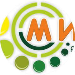 Мидель