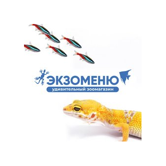 EXOMENU