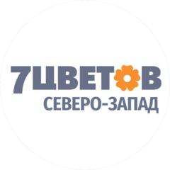 7 ЦВЕТОВ-СПб