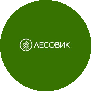 Лесовик