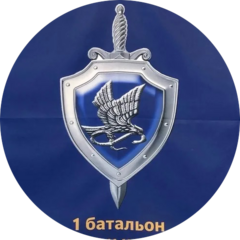Полк охраны и конвоирования подозреваемых и обвиняемых ГУ МВД России по г. Москве (2 рота 1 батальон)