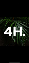 4 наir