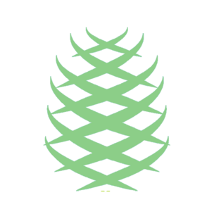КЕДР