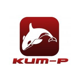 КИТ-Р