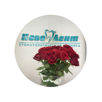 НовоДент