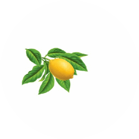 Лайм