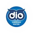 Компания DIO