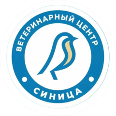 Шакин Анатолий Викторович