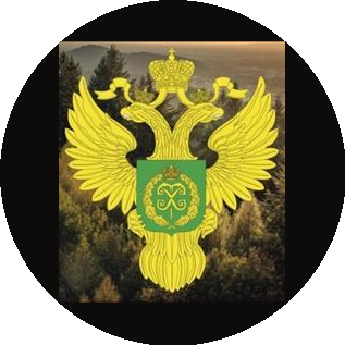 Департамент лесного хозяйства по ЮФО