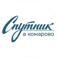 Спутник