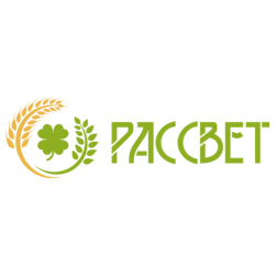 Рассвет