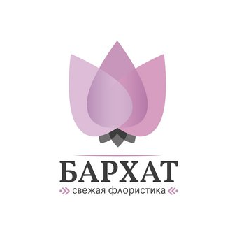 Бархат