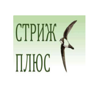 Стриж Плюс