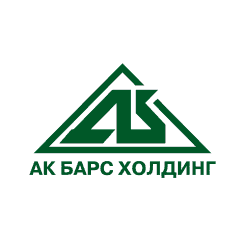 Ак Барс, Группа компаний