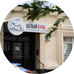 Белый Буль