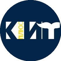 КонсультантПлюс. Информационные Технологии