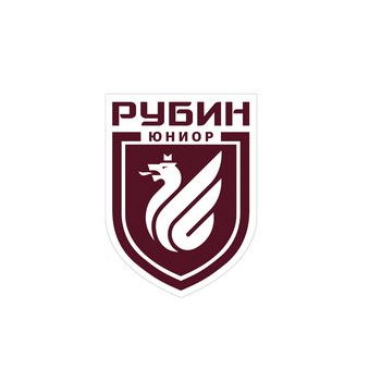 Академия Рубин Юниор
