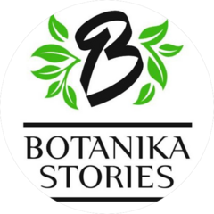 Ботаника