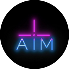 AIM Cyberspace