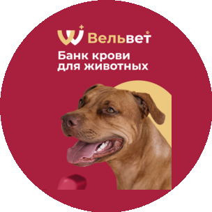 Ветеринарный банк крови Вельвет