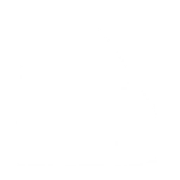 Adidas — F50