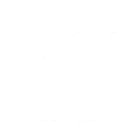 Adidas — Predator