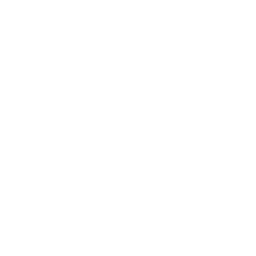 Бельгия (Adidas)