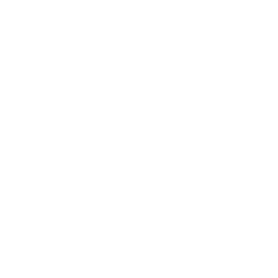 Ford Bronco Raptor