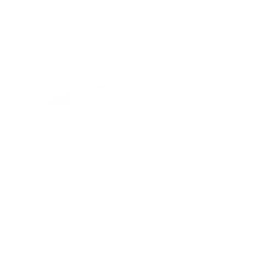 Ford Racing