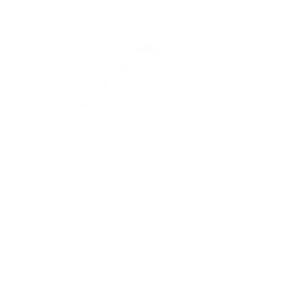 GT Go