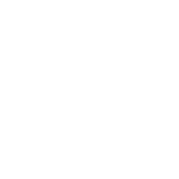 GT3 RS Signature