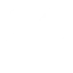 Ice Vice