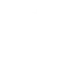 Испания (Adidas)