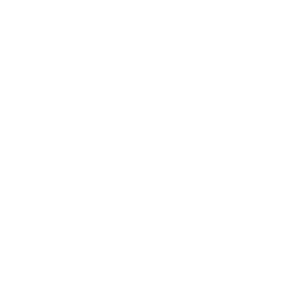 Mammoths