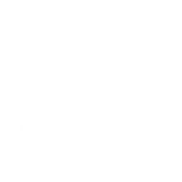 Микрошеф