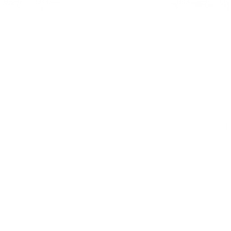 Модный дракон