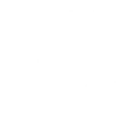 NBP