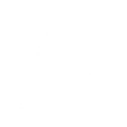 Отряд BFT