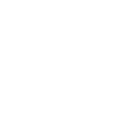 Параллель