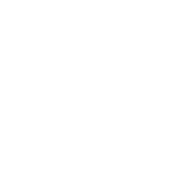 Pegasus