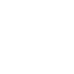 Persona 5 Royal