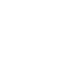 Platformer
