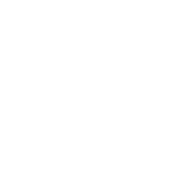 Полночь D