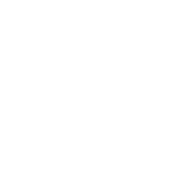 PUMA High-Octane