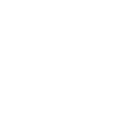 PUMA Palermo
