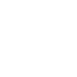 Ралли
