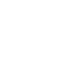 Шлемник